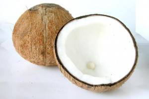 Oleococo