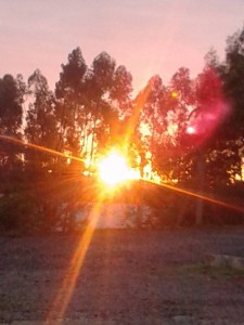 Nascer do sol